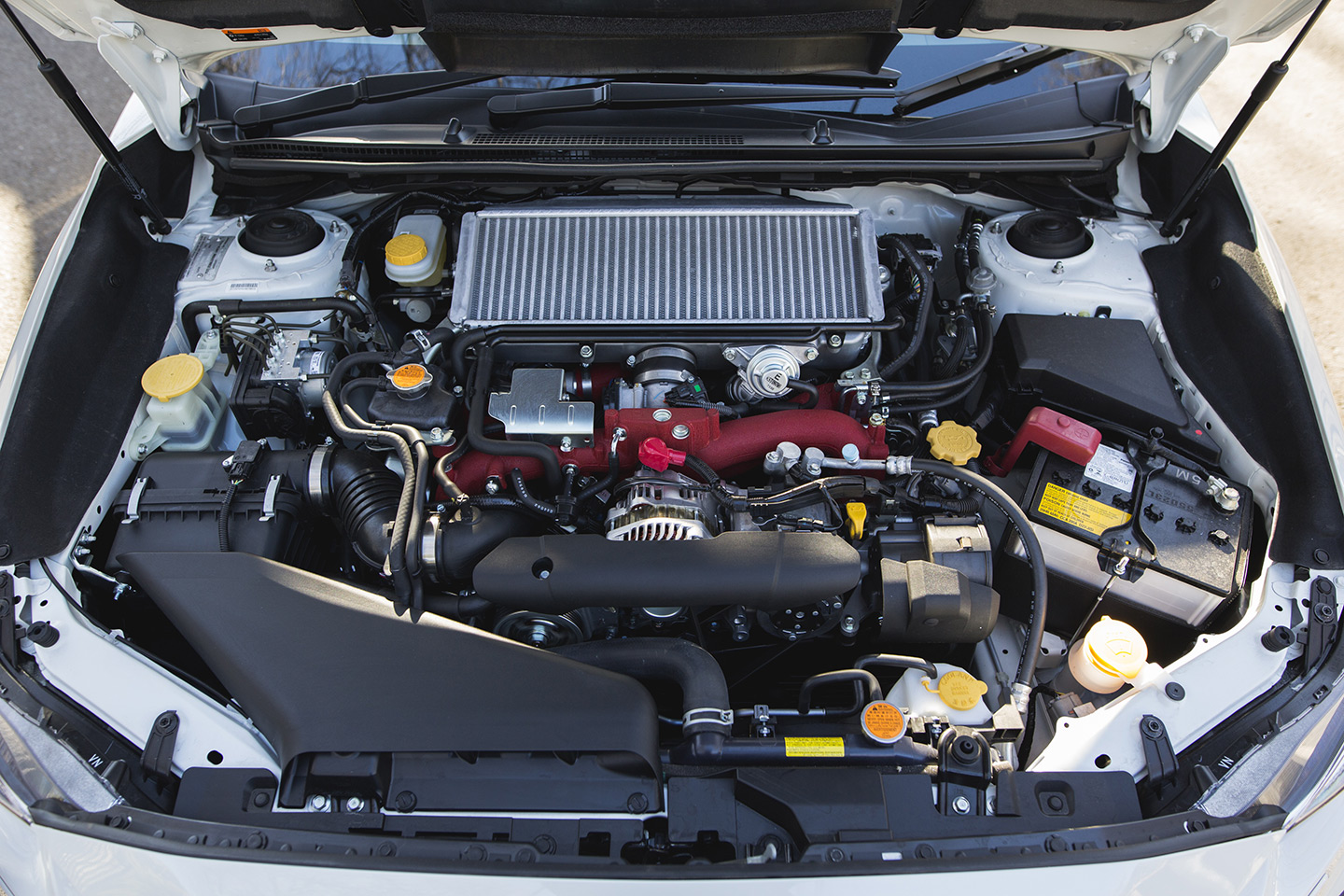 Heavyweight Boxer engine